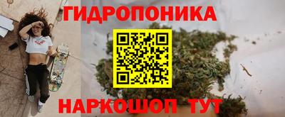ешки Ливны