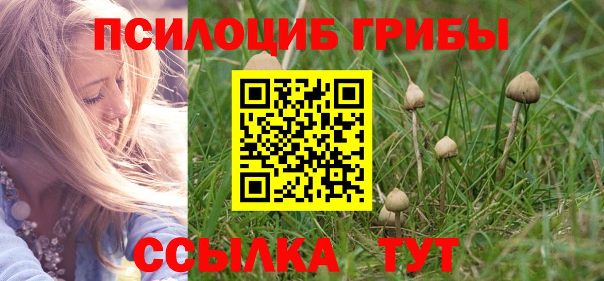 Галлюциногенные грибы прущие грибы  Псилоцибиновые грибы ЛСД  купить наркоту  Десногорск  Вход с VPN 